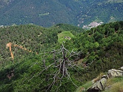 Dalla cima l'Alpe Pluni-Polunia che visiteremo...... (zoom)